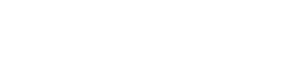Meta